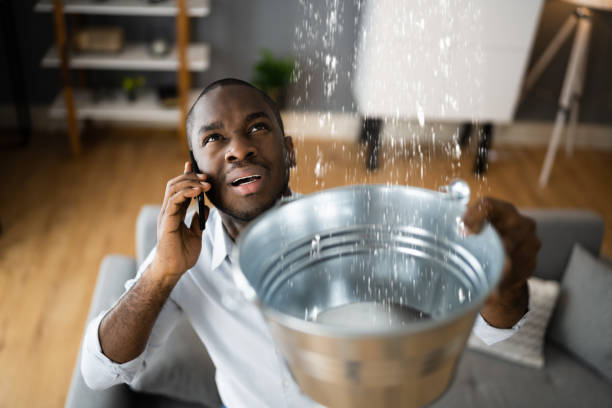 Best Water damage mitigation services  in Woodlawn Beach, FL