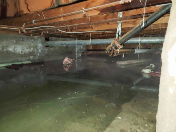 Best Residential water damage restoration  in Woodlawn Beach, FL