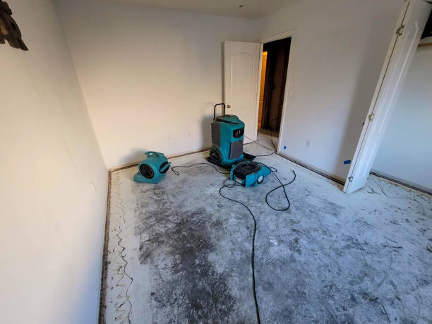 Best Carpet water damage restoration  in Woodlawn Beach, FL