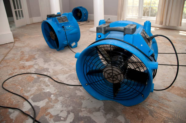 Best Carpet water damage restoration  in Woodlawn Beach, FL