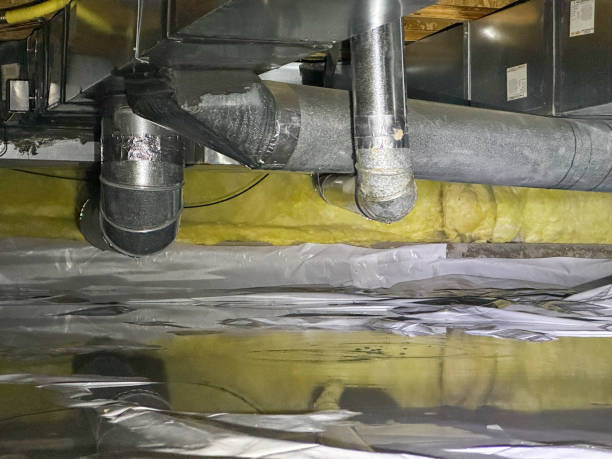 Best Water damage restoration company  in Woodlawn Beach, FL